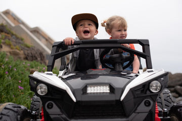 Ryder Toys' Commitment to Sustainability