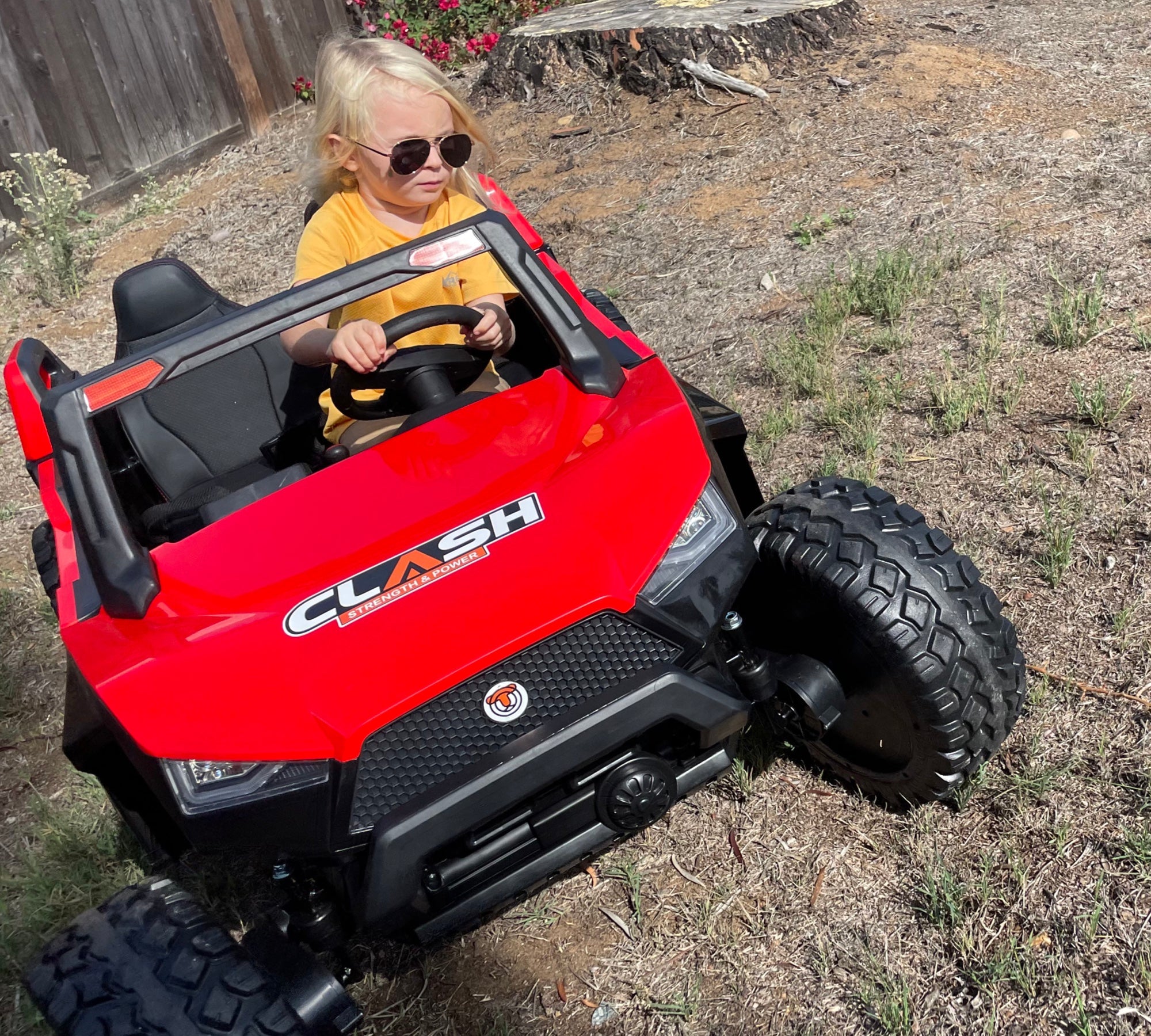 The Evolution of Ryder Toys: A Journey of Innovation and Joy