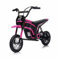 Mini Bike Pro Ryder Toys Color: Pink