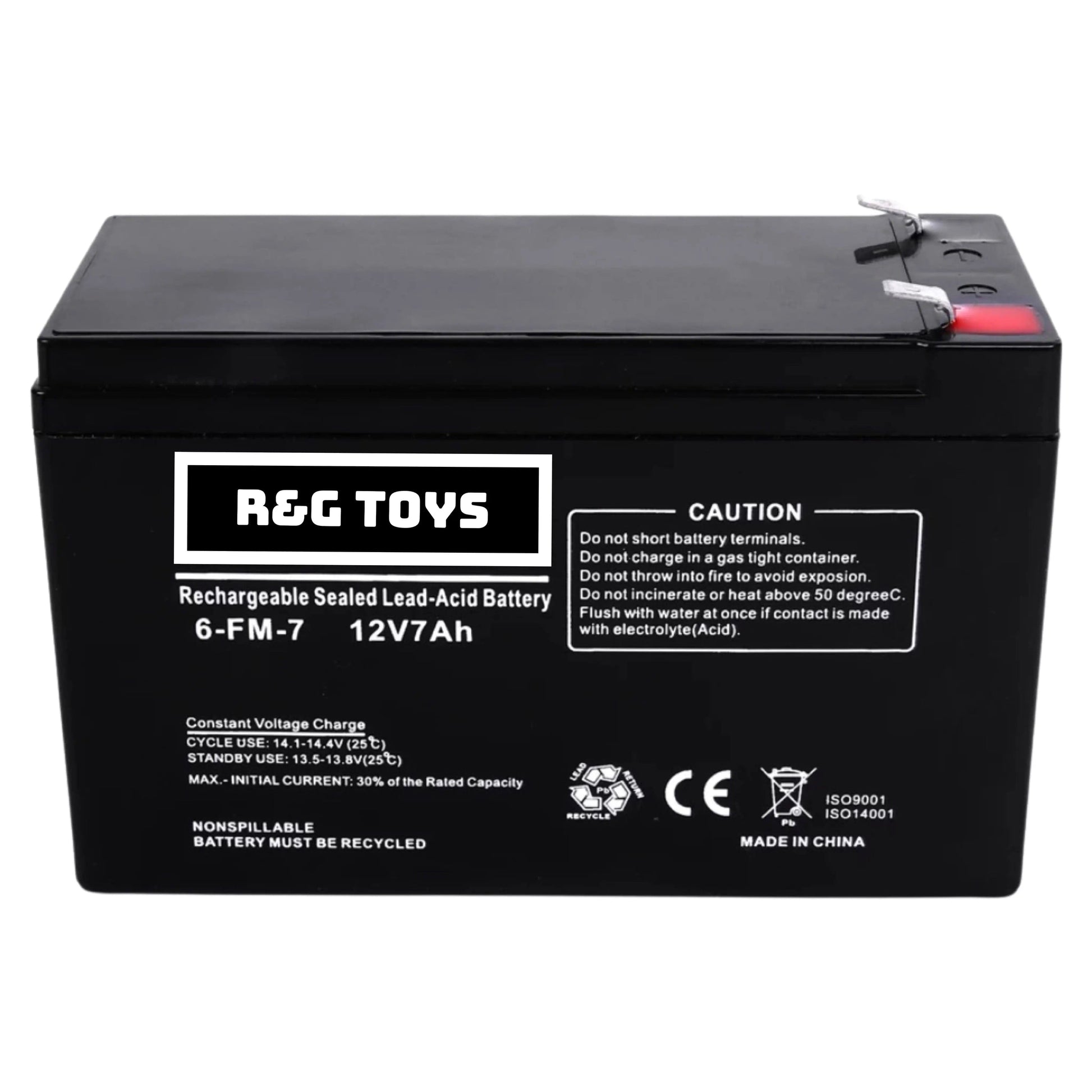 Replacement Battery R&G TOYS
